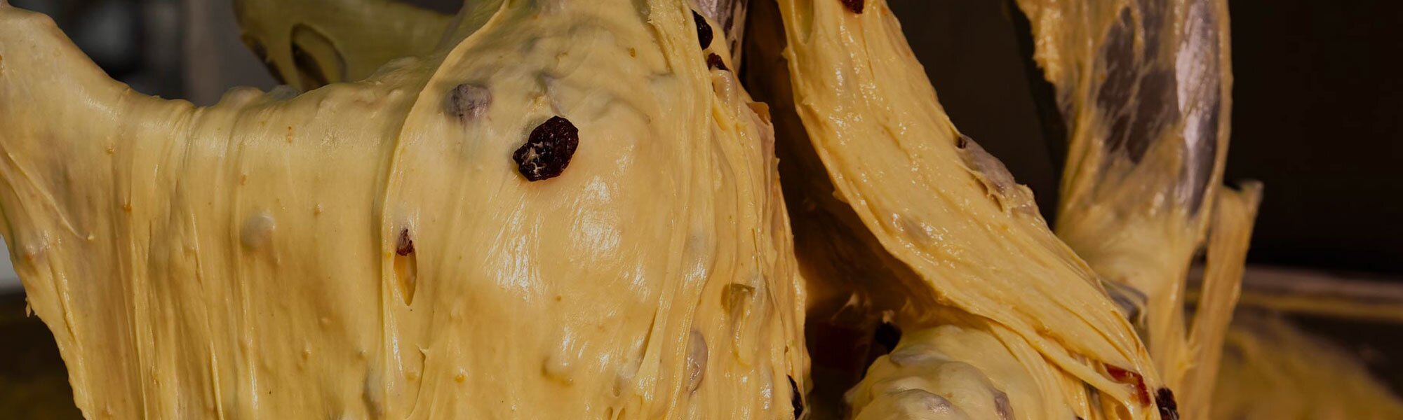 panettone-senza-glutine